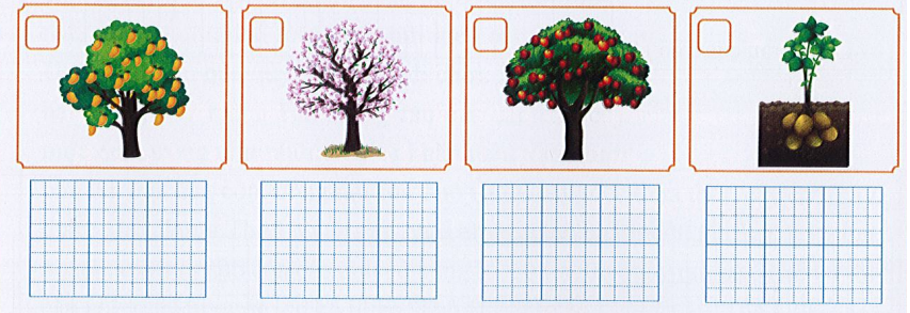 Em hãy đánh đấu V vào ô trống dưới hình ảnh cây thuộc loài cây ăn quả dưới đây và viết tên loài cây đó: (ảnh 1)