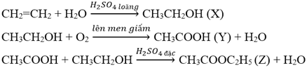 Cho sơ đồ sau CH2=CH2 + H2O, H2SO4 loãng -> X -> Y + X, H2SO4đ -> Z (ảnh 2)