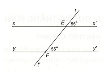 Quan sát hình vẽ bên và chọn khẳng định đúng:  A. xx’vuông góc yy’;  B. xx’song song yy’; (ảnh 1)