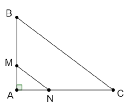 Cho tam giác ABC có AB = 9cm; AC = 12cm; BC = 15cm. Trên cạnh AB và AC lần lượt lấy hai điểm  (ảnh 1)