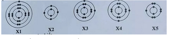 1. Cho cấu tạo lớp vỏ electron của nguyên tử thuộc các nguyên tố kí hiệu X1, X2, X3, X4, X5 như sau: (ảnh 1)