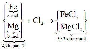 Cho 2,96 gam hỗn hợp X gồm Fe và Mg vào bình đựng khí clo dư, nung nóng. Sau phản ứng thu được 9,35 gam hỗn hợp muối clorua. Phần trăm khối lượng Fe trong hỗn hợp X là: (ảnh 2)