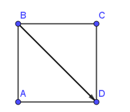 Cho hình vuông ABCD. Điểm đầu của vectơ BD là: (ảnh 1)