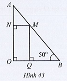Quan sát Hình 43, biết  góc MNO = góc AOB = góc BQM = 90 độ, góc ABO = 50. Tìm số đo mỗi góc NMQ, BMQ, MAN. (ảnh 1)