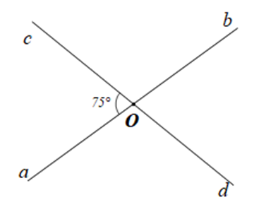 Cho các cặp tia Oa và Ob, Oc và Od là các cặp tia đối nhau. Tìm số đo mỗi góc aOc, bOc, bOd, aOd trong mỗi trường hợp sau:  a) góc aOc = 75 độ (ảnh 1)