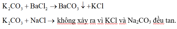Phân biệt dung dịch NaCl và dung dịch K2SO4 đựng trong các bình riêng biệt, mất nhãn, người ta dùng (ảnh 2)