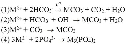 Cho các phản ứng mô tả các phương pháp khác nhau để làm mềm nước cứng (dùng M2+ thay cho Ca2+ và Mg2+) như sau: (ảnh 1)
