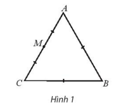 Cho tam giác đều ABC cạnh bằng a. Tính độ dài của các vectơ (ảnh 1)