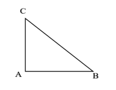 Cho tam giác ABC vuông ở A và có góc B = 50 độ. Khẳng định nào sau đây là sai? (ảnh 1)