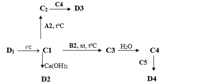 b) Tìm các chất từ C1 đến C5 và D1 đến D4 trong sơ đồ chuyển hóa sau. (Không cần (ảnh 1)