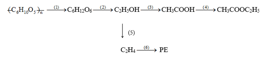 Viết các phương trình hóa học hoàn thành sơ đồ chuyển hóa sau (ghi rõ điều kiện (ảnh 1)