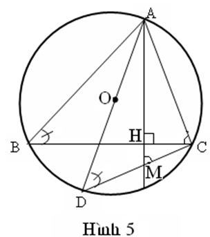 Cho tam giác ABC nội tiếp trong đường tròn tâm O, với AB > AC. Kẻ đường cao AH, bán kính OA.  (ảnh 5)