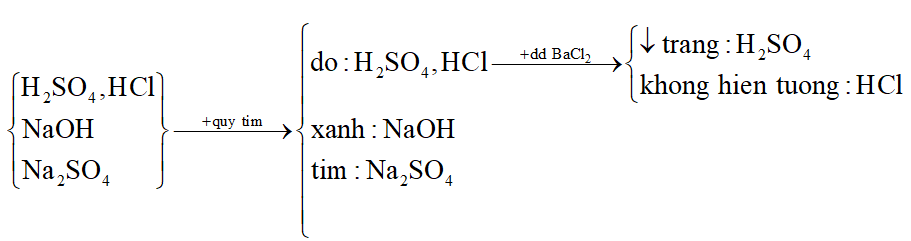 Bằng phương pháp hóa học nhận biết các dung dịch sau: NaOH, H2SO4, Na2SO4, HCl. Viết phương trình hóa học (nếu có). (ảnh 1)