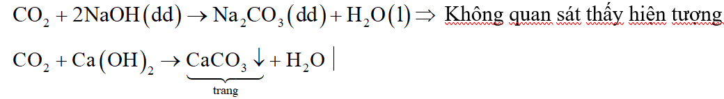 Bằng phương pháp hóa học, hãy trình bày cách nhận biết dung dịch đựng trong các lọ bị mất nhãn: HCl, NaOH, Na2SO4, Ca(OH)2. (ảnh 1)