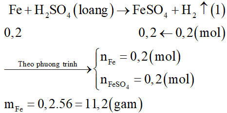 Cho m gam hỗn hợp X gồm Fe và Cu vào dung dịch H2SO4 loãng, dư thu được 4,48 lít khí (đktc) và thấy còn 8,8 gam chất rắn không tan. Lấy phần chất rắn không tan ra thu được 250ml dung dịch Y. (ảnh 2)