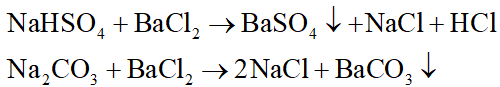 Thuốc thử dùng để phân biệt các dung dịch riêng biệt, mất nhãn: NaCl, HCl, NaHSO4, Na2CO3 là: (ảnh 1)