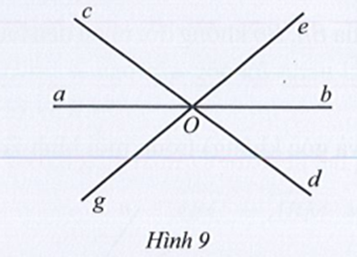 Quan sát Hình 9.  a) Hai góc aOg và cOe có phải là hai góc đối đỉnh hay không? Vì sao?    (ảnh 1)