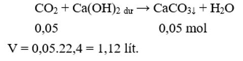 Hấp thụ hết V lít khí CO2 đo ở đktc bằng dung dịch Ca(OH)2 dư, kết thúc thí nghiệm thu được 5 gam kết tủa. Giá trị của v là (ảnh 1)