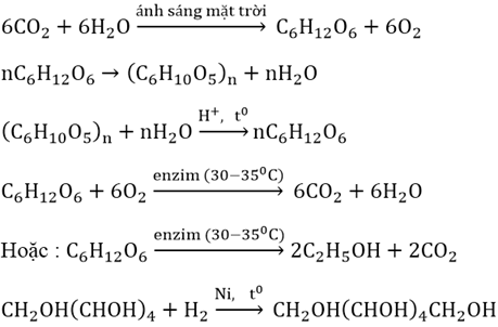 Viết phương trình hóa học của các phản ứng: CO2 -> glucozo -> tinh bột -> glucozo -> CO2 (ảnh 2)