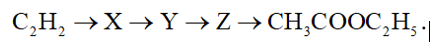 - Các chất X, Y, Z tương ứng là: (ảnh 1)