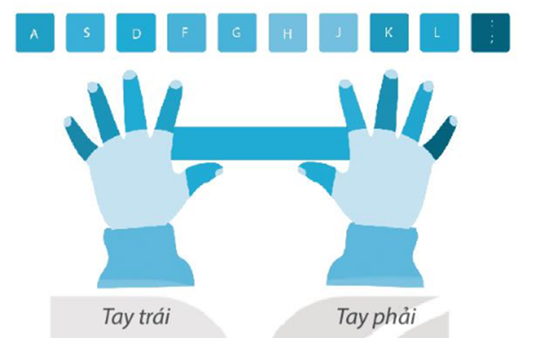 Hãy nối mỗi ngón tay với phím trên hàng phím cơ sở thể hiện đúng cách đặt tay tại vị trí xuất phát. (ảnh 1)