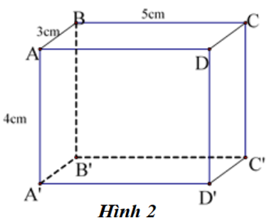 Đường thẳng C'D' song song với đường thẳng (ảnh 1)