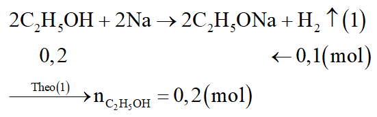 Cho m gam hỗn hợp (A) gồm CH3COOH và CH3COOC2H5 tác dụng vừa hết với 150ml dung dịch NaOH 2M. Tách lấy toàn bộ lượng rượu etylic; rồi cho tác dụng hết với Na, thu được 2,24 lít khí H2 (đktc). Giá trị của m là: (ảnh 2)