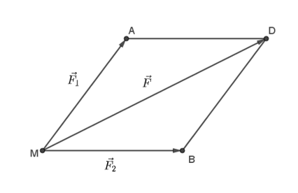 Một vật chịu tác động của hai lực bao gồm vecto F1 theo phương vecto MA tạo với phương (ảnh 1)
