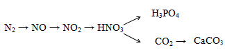 Hoàn thành phương trình phản ứng sau, ghi rõ điều kiện phản ứng nếu có. N2 (1)-> NO (2)-> NO2 (3)-> HNO3 (ảnh 1)