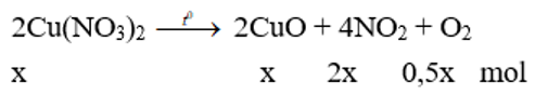 Nhiệt phân hoàn toàn m(g) muối Cu(NO3)2 một thời gian thấy khối lượng chất rắn giảm 1,08(g). Giá trị của m là (ảnh 1)