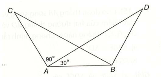Cho hình vẽ dưới đây, biết rằng AC = BD, BC = AD, góc CAD= 90 độ, góc DAB= 30 độ (ảnh 1)
