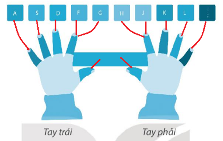 Hãy nối mỗi ngón tay với phím trên hàng phím cơ sở thể hiện đúng cách đặt tay tại vị trí xuất phát. (ảnh 2)
