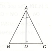 Cho tam giác ABC và điểm D nằm trên cạnh BC sao cho AD vuông góc với BC và AD (ảnh 1)