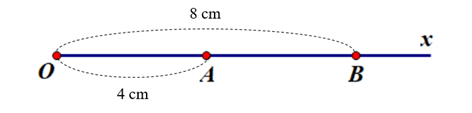 Trên tia Ox lần lượt lấy các điểm A, B sao cho OA = 4 cm, OB = 8 cm.  a/ Tính độ dài AB? (ảnh 1)