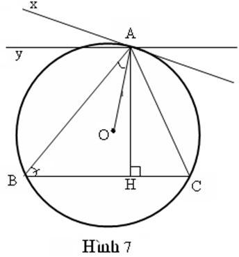 Cho tam giác ABC nội tiếp trong đường tròn tâm O, với AB > AC. Kẻ đường cao AH, bán kính OA.  (ảnh 7)