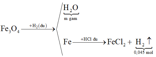 Khử hoàn toàn một lượng Fe3O4 bằng H2 dư, thu được chất rắn X và m gam H2O. Hòa tan hết X trong dung dịch HCl dư, thu được 1,008 lít khí H2 (đktc). Giá trị của m là: (ảnh 2)