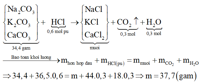Cho 34,4 gam hỗn hợp Na2CO3, K2CO3, CaCO3 phản ứng với dung dịch HCl dư thu được dung dịch X và 6,72 lít CO2 ở đktc. Cô cạn X thu được m gam muối khan. Giá trị của m là (ảnh 3)
