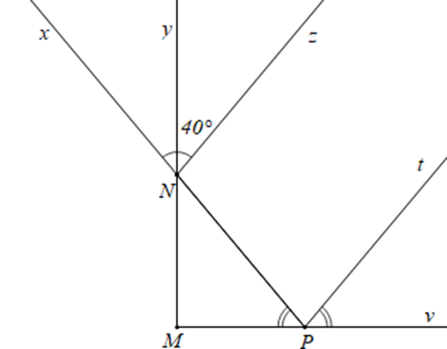 Cho hình vẽ như sau: Biết tia Ny là tia phân giác của góc xNz, yNz = 40 đỗ (ảnh 1)