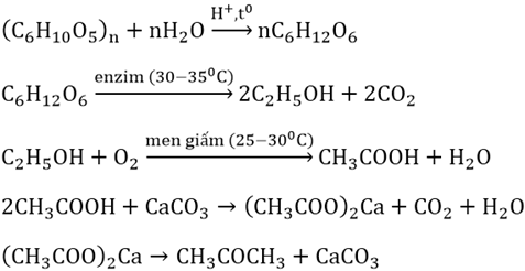 Viết các phương trình hóa học theo sơ đồ chuyển đổi sau đây:     Xenlulozo → glucozo → rượu etylic → axit axetic  (ảnh 1)