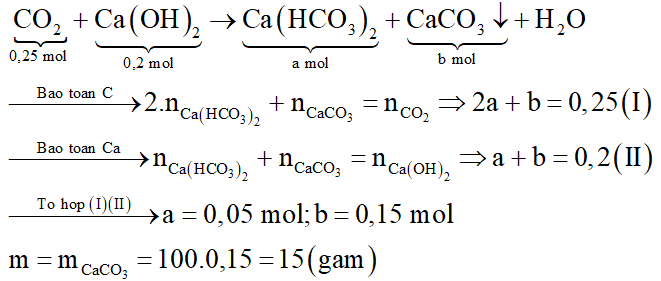 Hấp thụ hoàn toàn 5,6 lít khí CO2 (đktc) vào dung dịch chứa 0,2 mol Ca(OH)2, thu được m gam kết tủa. Xác định m. (ảnh 3)