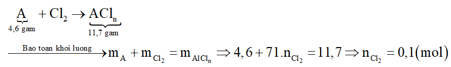 Cho 4,6 gam một kim loại A phản ứng với khí clo dư tạo thành 11,7 gam muối. Hãy xác định kim loại A. (ảnh 1)