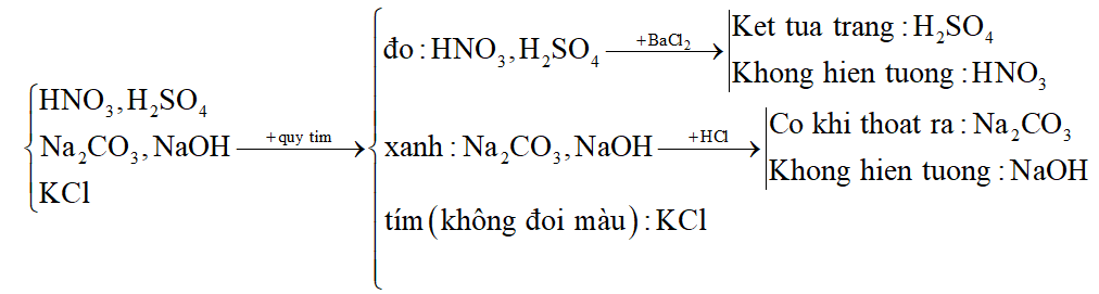 Nhận biết các dung dịch đựng trong các lọ mất nhãn, riêng biệt sau: HNO3, H2SO4, Na2CO3, NaOH, KCl. (ảnh 1)