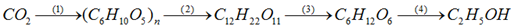 Cho dãy phản ứng hoá học sau: CO2 -> (C6H10O5)n -> C12H22O11 -> C6H12O6 -> C2H5OH (ảnh 1)