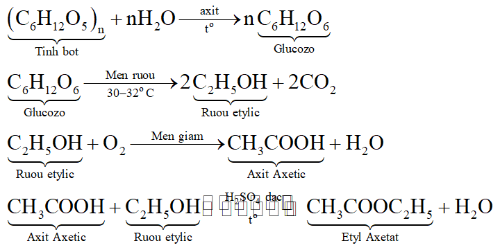 Viết các phương trình hóa học thực hiện sơ đồ chuyển hóa sau (ghi rõ điều kiện nếu có): (ảnh 1)