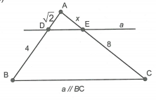 Tính độ dài x, y trong hình sau: Tam giác ABC, đường thẳng a // BC, cắt AB tại D (ảnh 1)