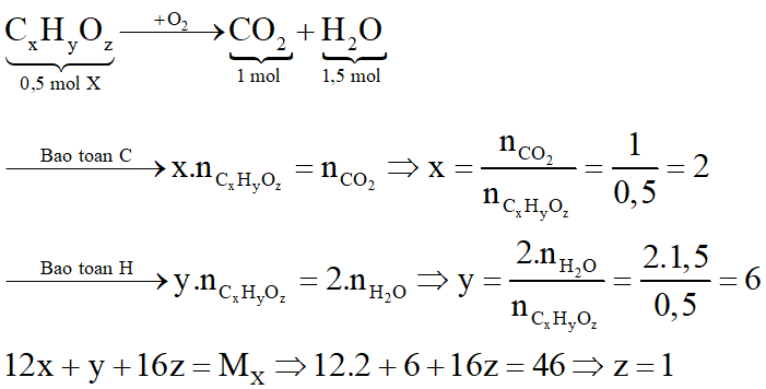 Đốt cháy 23 gam chất hữu cơ X thu được sản phẩm gồm 44 gam CO2 và 27 gam H2O. Xác định công thức phân tử của X, biết tỉ khối hơi của X so với hiđro là 23. (ảnh 3)