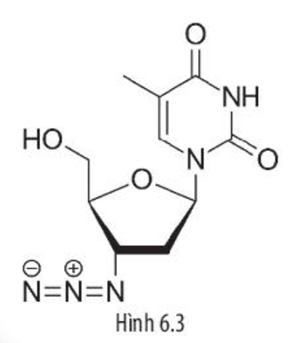 Một nhà khoa học khi nghiên cứu về loại thuốc AZT (Azidothymidine) được (ảnh 1)