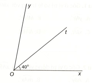 Vẽ góc xOy= 80 độ. Vẽ tia Ot nằm giữa hai tia Ox và Oy sao cho góc xOt= 40 độ (ảnh 1)