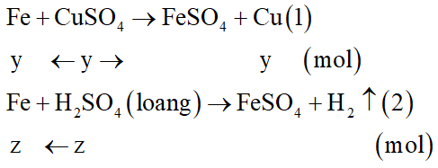 Cho a gam sắt vào dung dịch chứa y mol CuSO4 và z mol H2SO4 loãng, sau phản ứng hoàn toàn thu được khí H2, a gam đồng và dung dịch chỉ chứa một chất tan duy nhất. Mối quan hệ giữa y và z là: (ảnh 1)