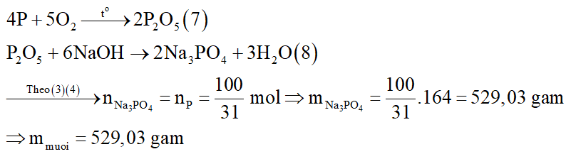 Đốt cháy hoàn toàn cùng khối lượng các đơn chất sau: S, C, Al, P rồi cho sản phẩm cháy của mỗi chất tác dụng hết với dung dịch NaOH dư, thì sản phẩm cháy của chất tạo ra được khối lượng muối lớn nhất là: (ảnh 5)